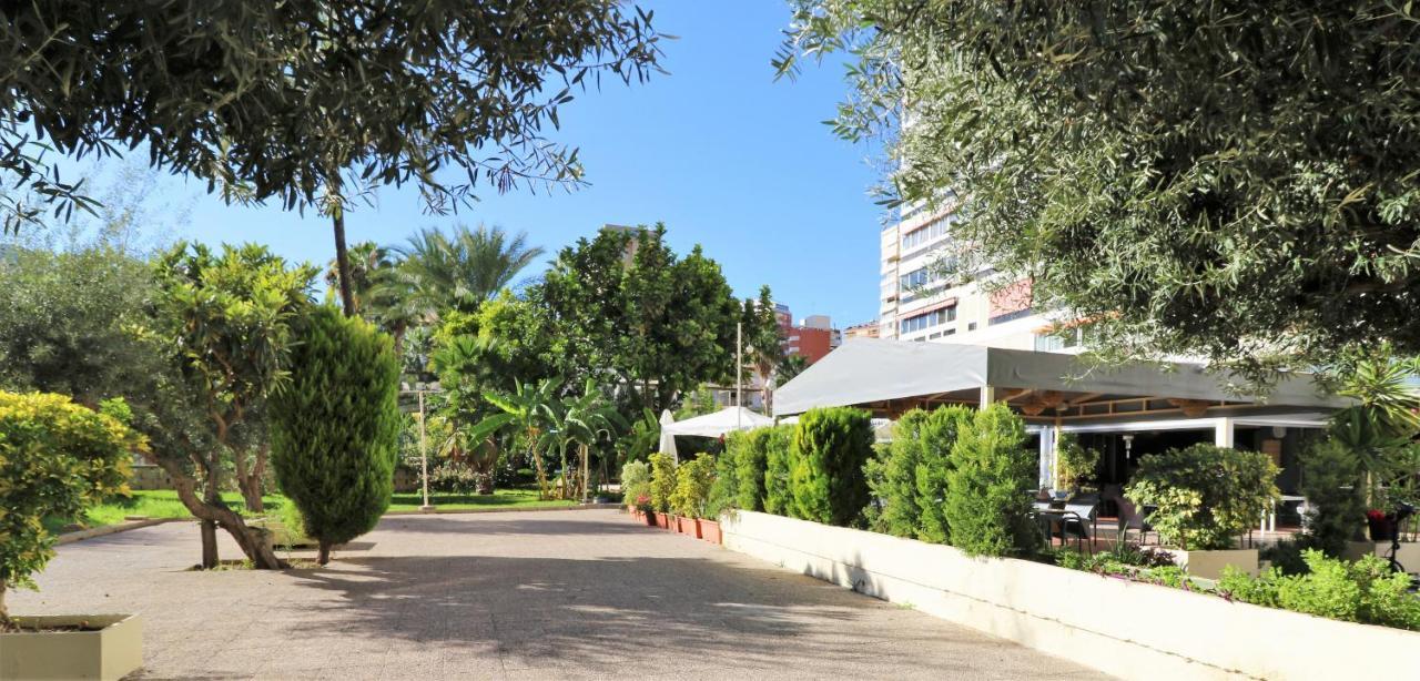בנידורם Penthouse Cervantes Sea View מראה חיצוני תמונה